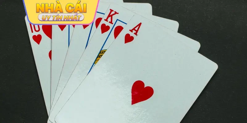 Biết khi nào nên dừng khi áp dụng cách chơi bài cào