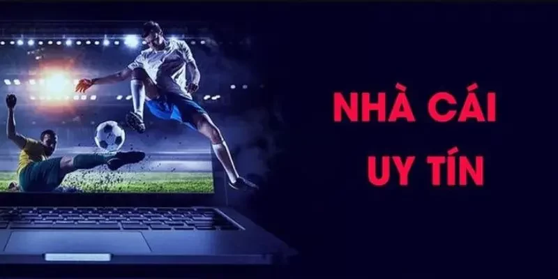 Chia sẻ điều khoản sử dụng của Nhà Cái Uy Tín