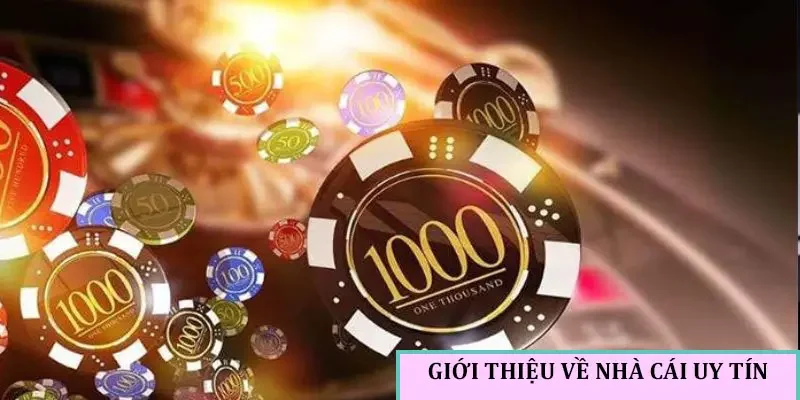 Giới thiệu chung về Nhà Cái Uy Tín