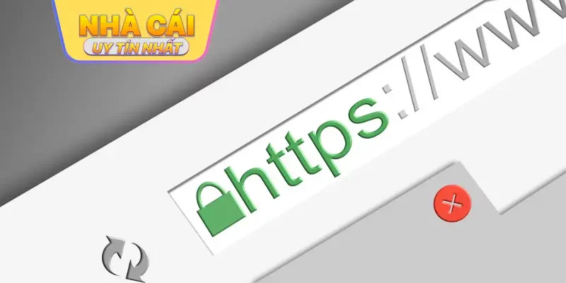 Lí do cần có link mới nhất