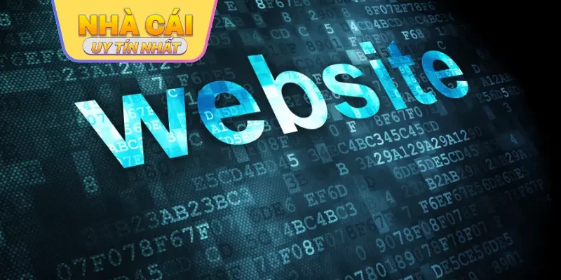 Tổng hợp các đường dẫn uy tín