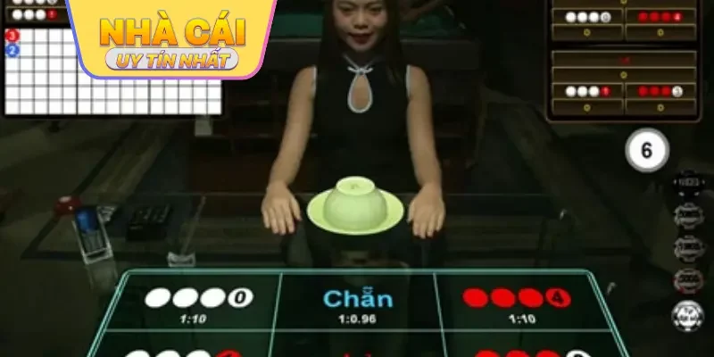 top nhà cái chơi xóc đĩa